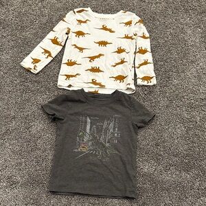 Dinosaur Print Kids Shirts - White and Gray